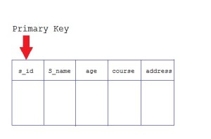 primary-key